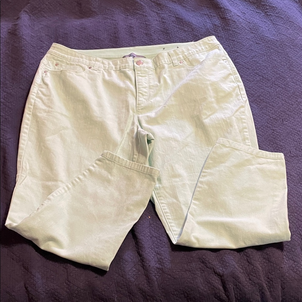 CJ Banks Mint Green Signature Slimming Pants